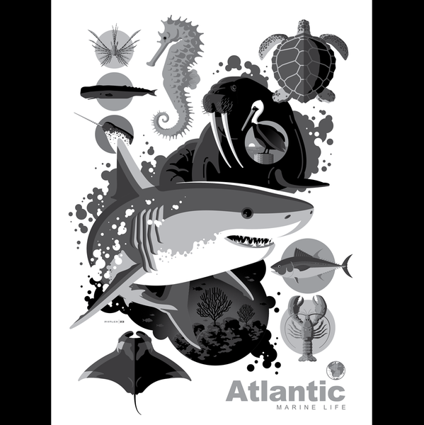 ATLANTIC MARINE LIFE black and white edition screenprint