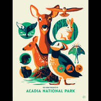 ICONIC WILDLIFE OF ACADIA screenprint