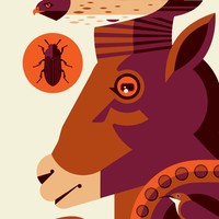 ICONIC WILDLIFE OF GRAND CANYON screenprint