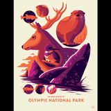 ICONIC WILDLIFE OF OLYMPIC screenprint