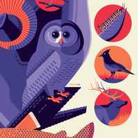 ICONIC WILDLIFE OF ROCKY MOUNTAIN NATIONAL PARK screenprint