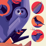 ICONIC WILDLIFE OF ROCKY MOUNTAIN NATIONAL PARK screenprint