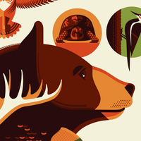ICONIC WILDLIFE OF GREAT SMOKY MOUNTAINS screenprint